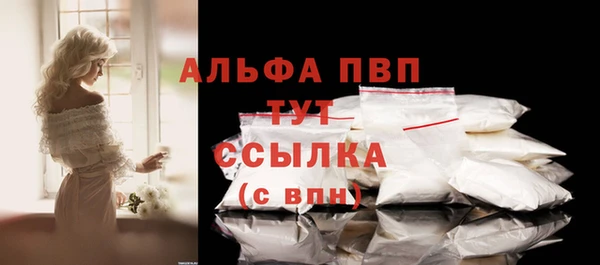 мдпв Пересвет