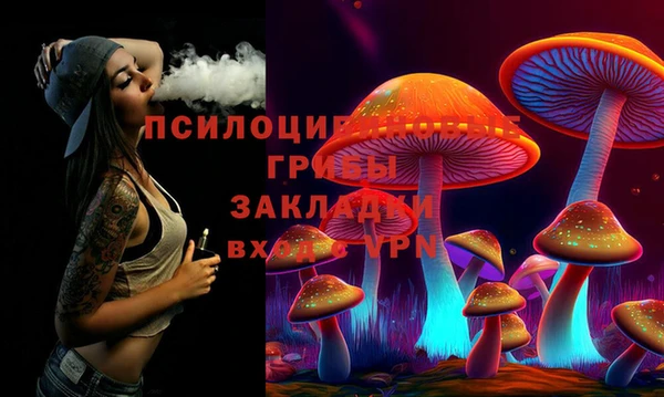 гидропоника Осинники