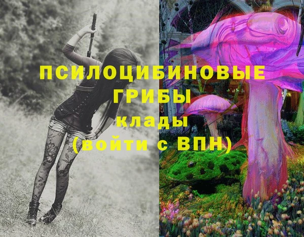 прущий лед Пестово