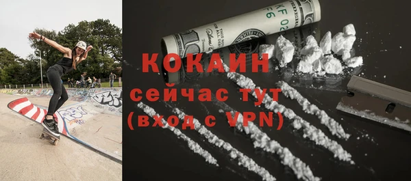 дмт Переславль-Залесский