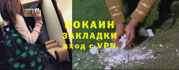 дмт Переславль-Залесский