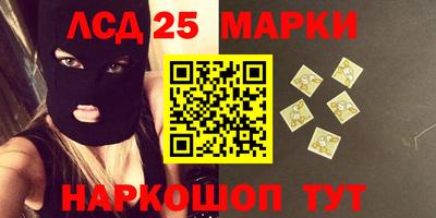 шишки Кандалакша