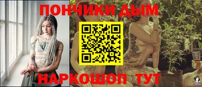 шишки Кандалакша