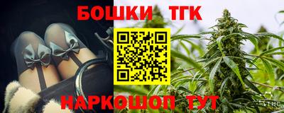 шишки Кандалакша