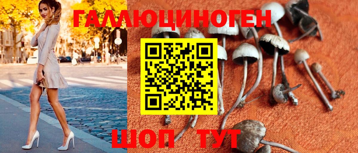 Псилоцибиновые грибы Psilocybe Раменское