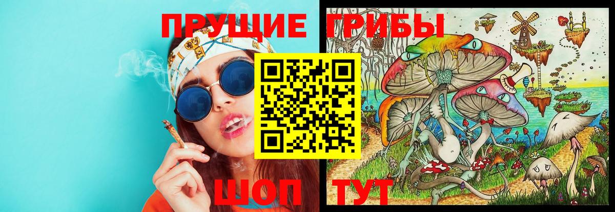 Раменское  где можно купить   Вход с VPN  Галлюциногенные грибы мицелий 